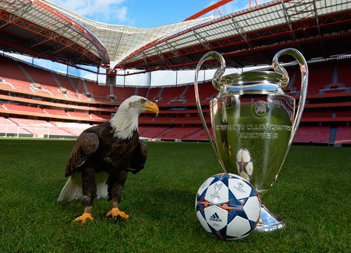 把青岛西海岸的口号带到诺坎普球场！战斗青岛队！ ...（让青岛西海岸的口号响彻诺坎普，战斗吧青岛队！）